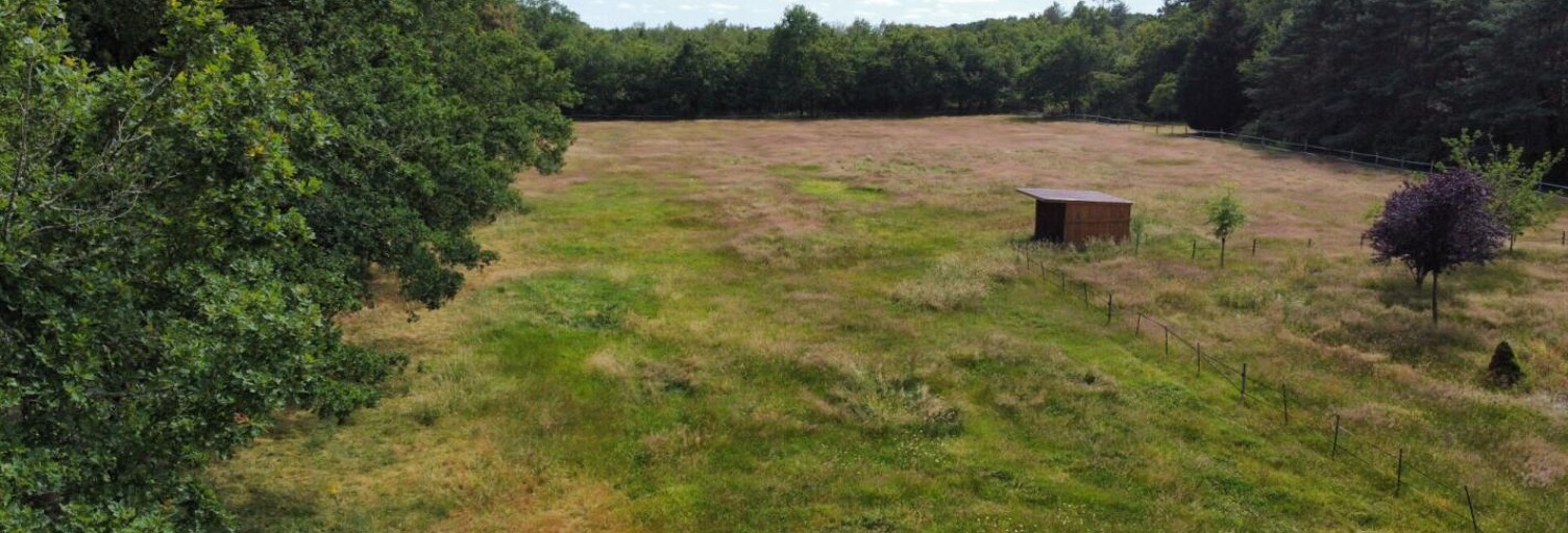 Terrain  9000 m² à vendre à Villefranche-sur-Cher (41200)