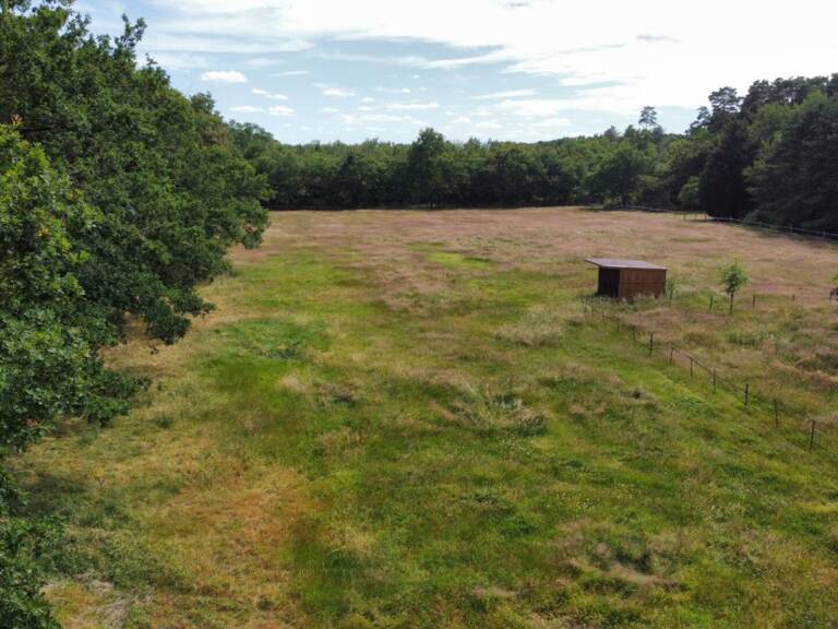 Terrain Villefranche Sur Cher 9000 m2 — photo 1