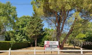 Terrain  831 m² à vendre à Saint-Maur (36250)