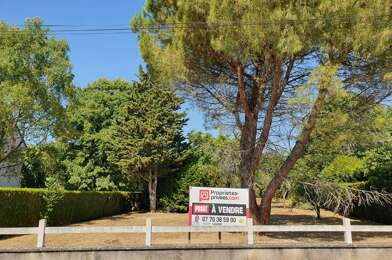 Terrain  49000 €