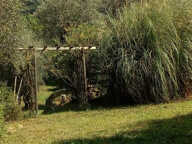 TERRAIN DE LOISIR 3 974M2  AVEC CABANON — photo 3