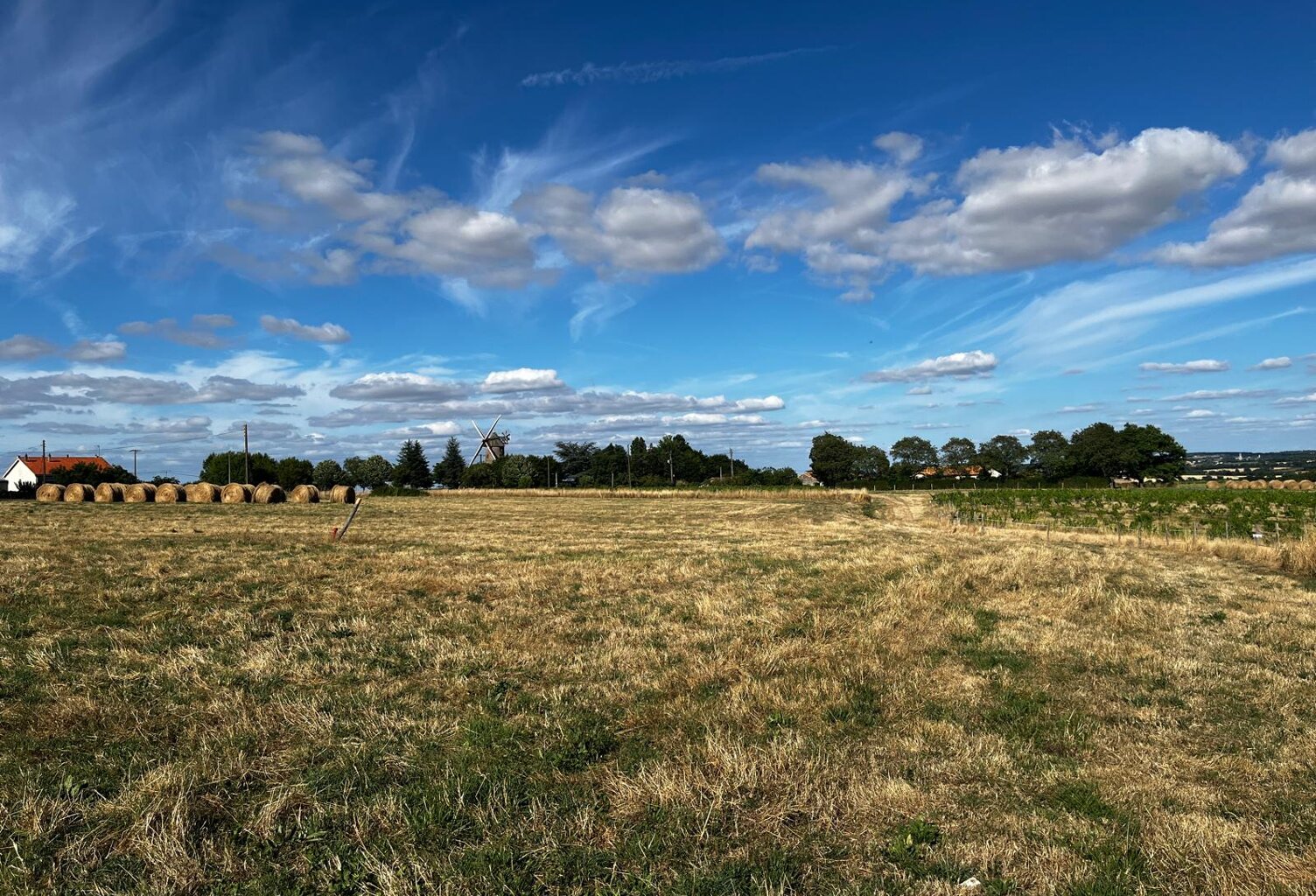 Votre terrain à 16 minutes d’Ancenis et 40 minutes d’Angers ! — photo 1