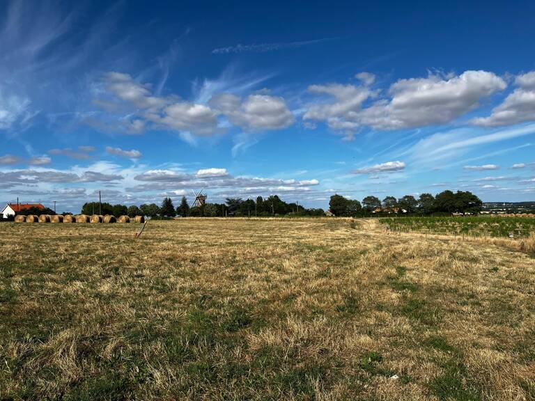 Votre terrain à 16 minutes d’Ancenis et 40 minutes d’Angers ! — photo 1