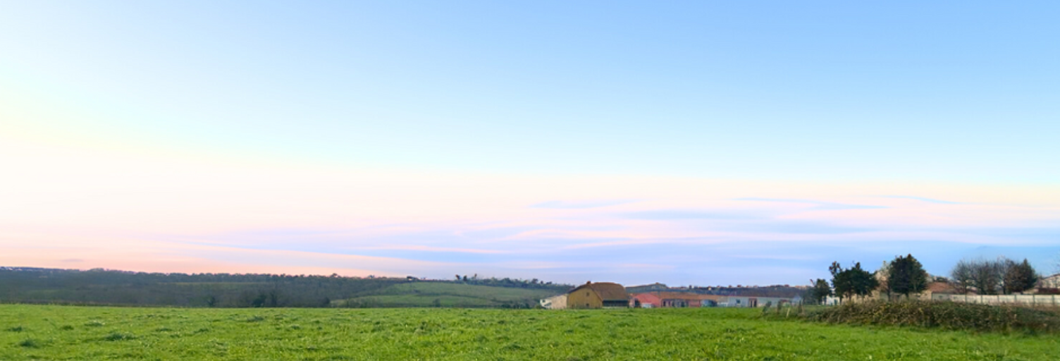 Terrain  530 m² à vendre à Orée d'Anjou (49530)