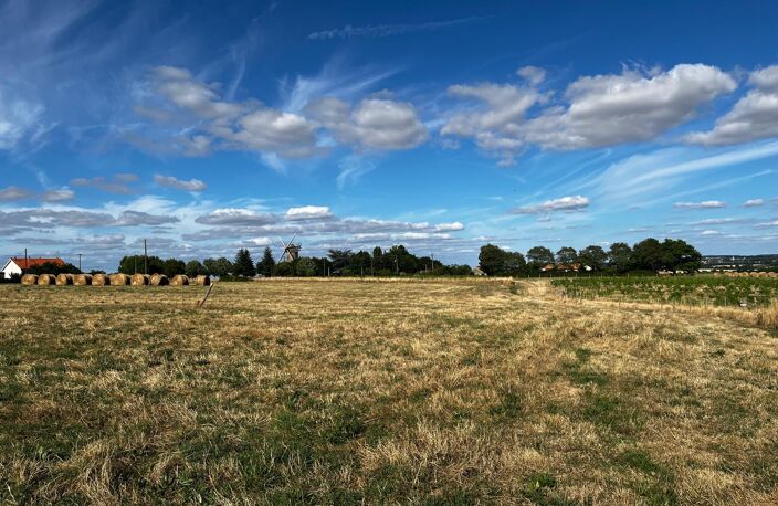 Votre terrain à 16 minutes d’Ancenis et 40 minutes d’Angers ! — photo 2