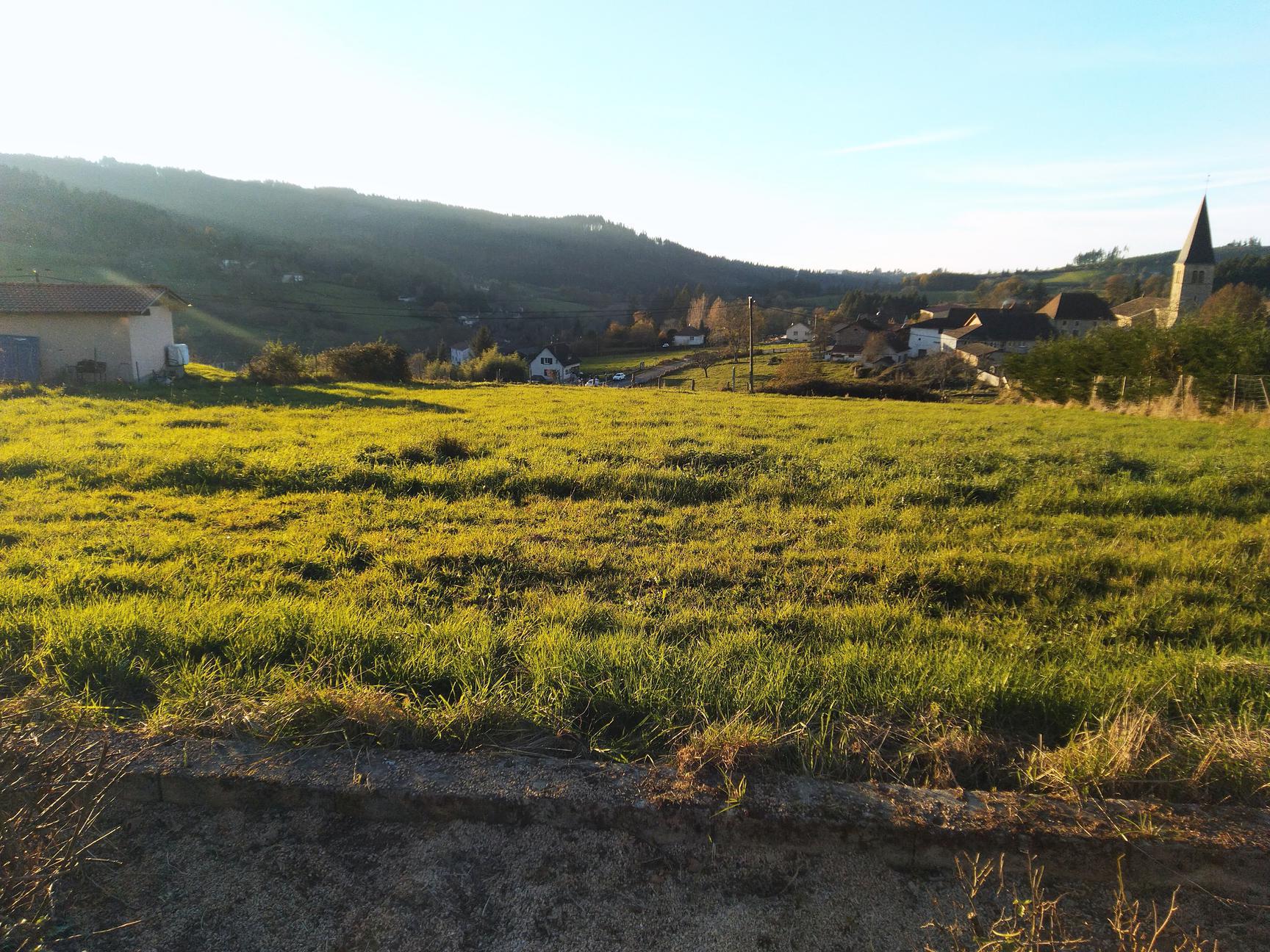 Terrain — Belleroche