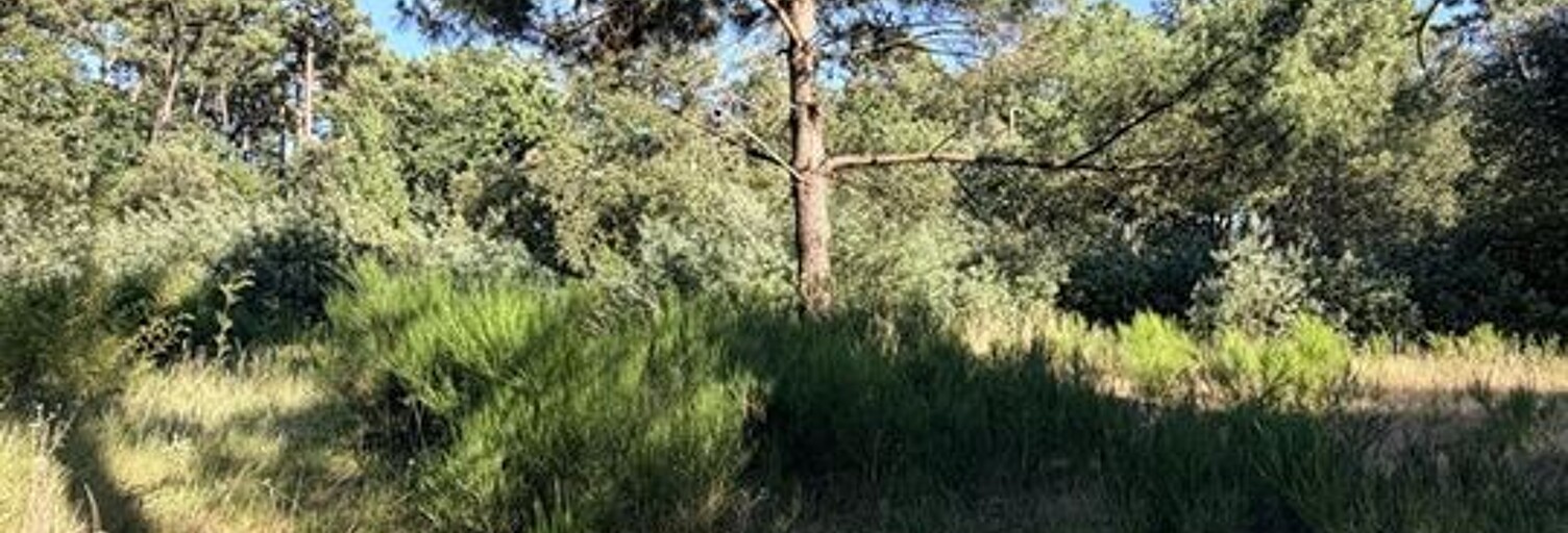 Terrain  3580 m² à vendre à Soulac-sur-Mer (33780)