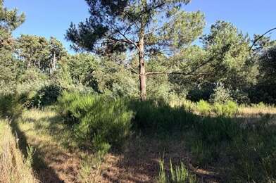 Terrain  274000 €