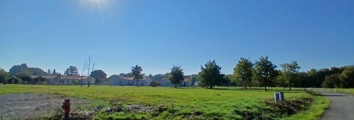 Photo N° 2