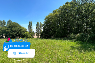 Terrain  43000 €