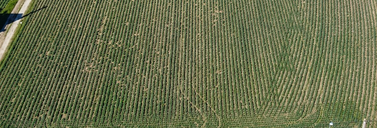 Terrain  1079 m² à vendre à Beaurepaire (38270)