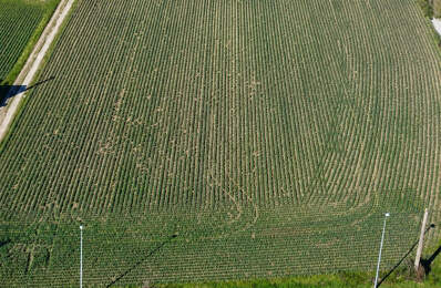Terrain à vendre Beaurepaire — photo du bien