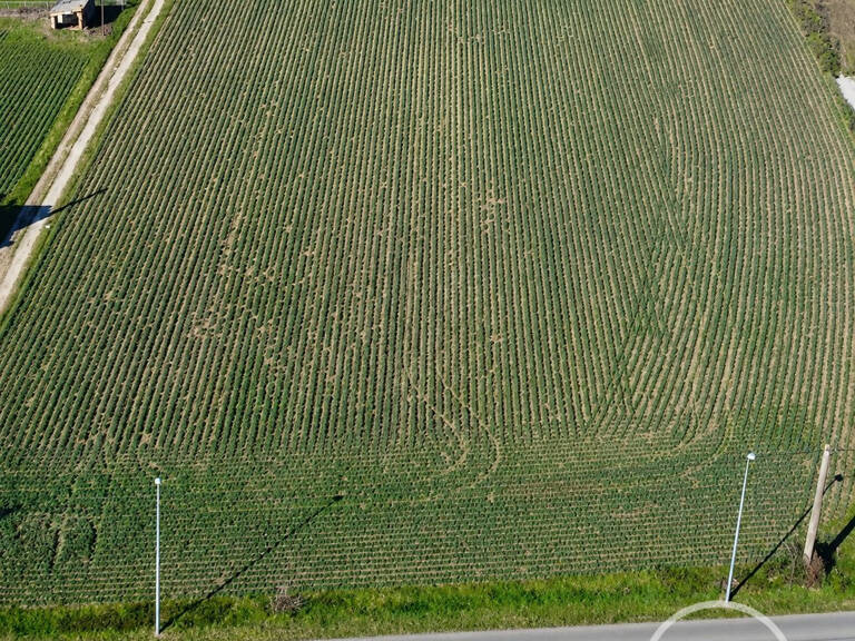 Terrain à vendre Beaurepaire — photo 1