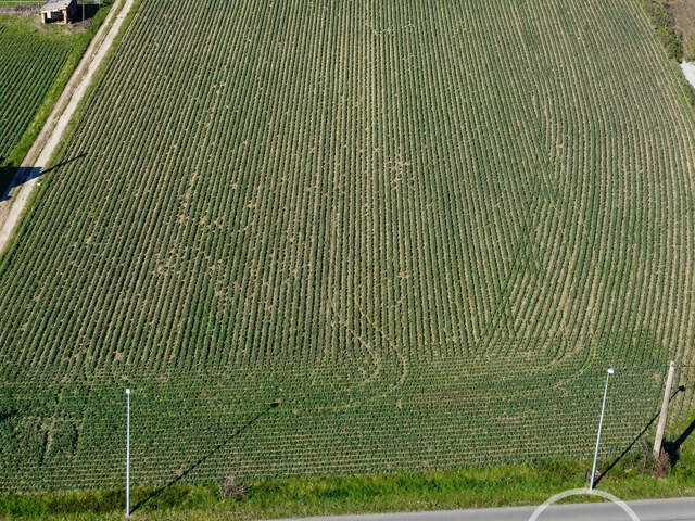 Terrain à vendre Beaurepaire — photo du bien