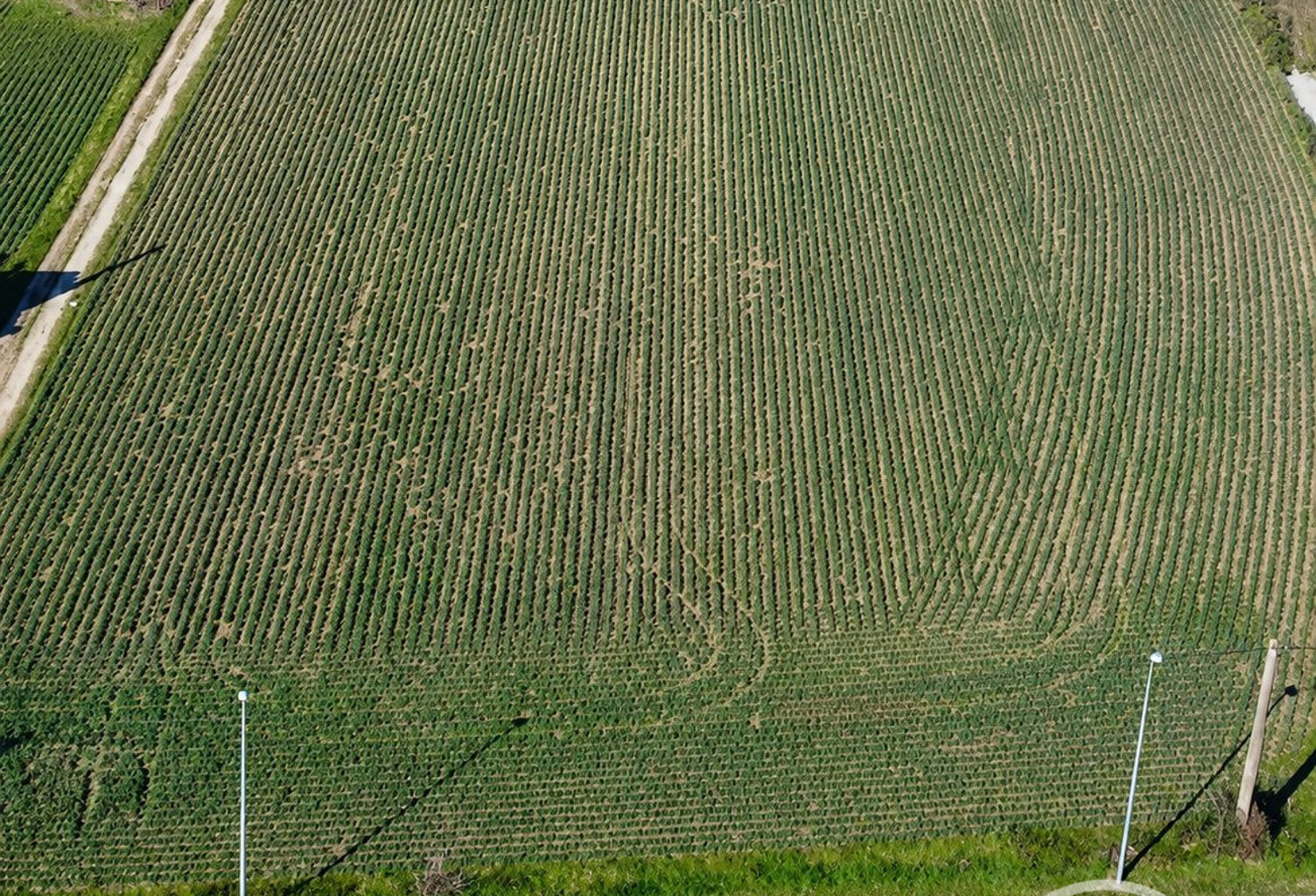 Terrain à vendre Beaurepaire — photo 1