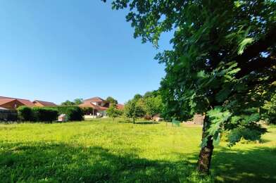 Terrain  65000 €