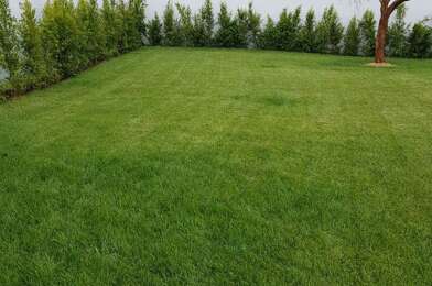 Terrain  155000 €