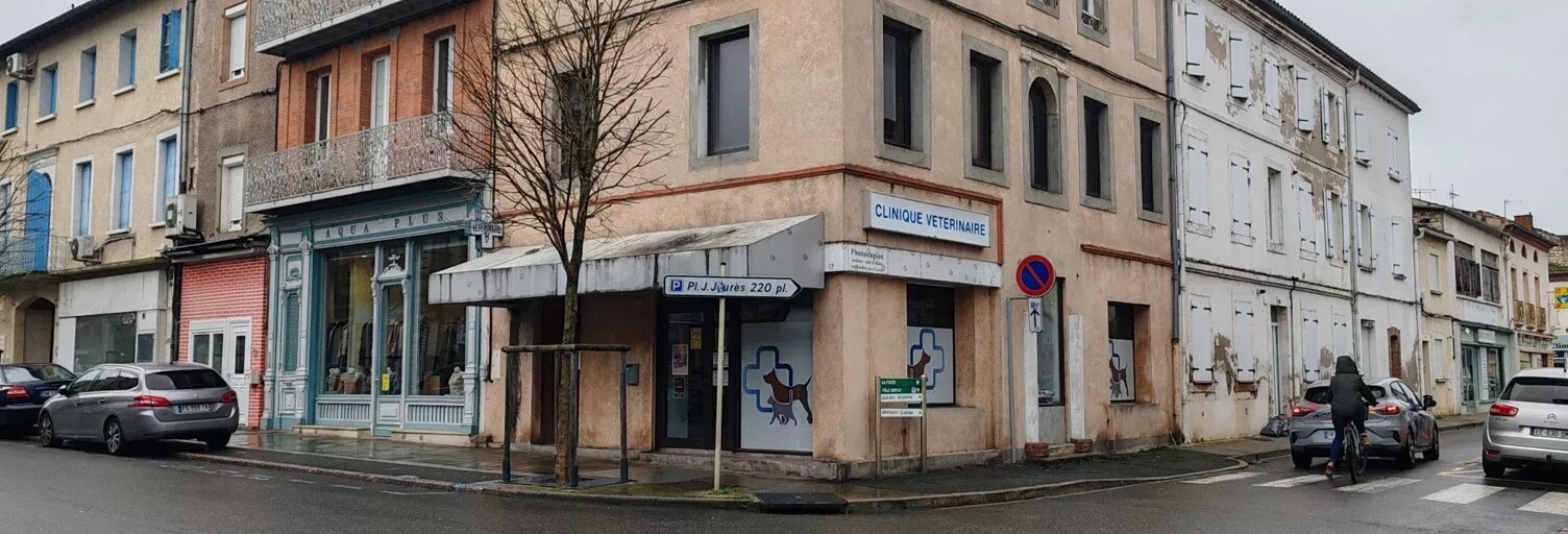 Immeuble  204 m² à vendre à Carmaux (81400)
