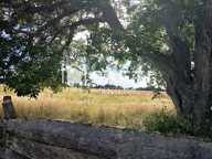 terrain de loisir — photo 2