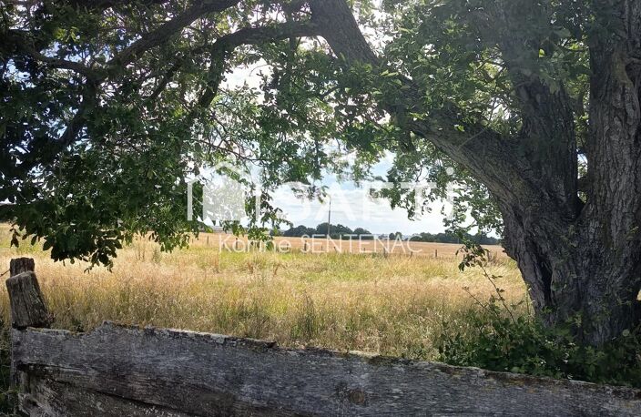 terrain de loisir — photo 2