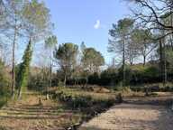 Terrain constructible de 2235m2 à TOURRETTES — photo 2