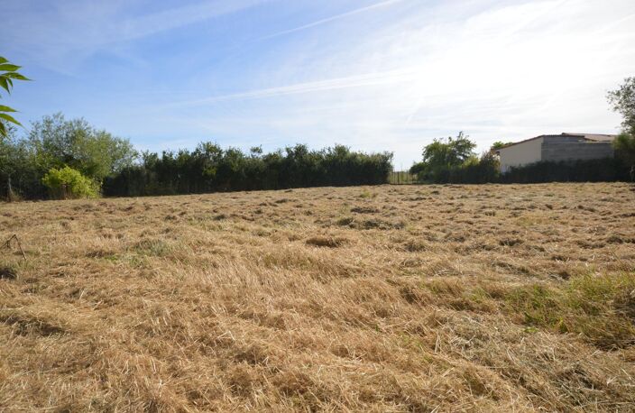 Terrain constructible 1400m² seysses proche centre — photo 5
