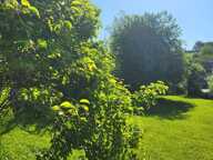 Terrain constructible de 1 681 m² au cœur d'Amagney — photo 3
