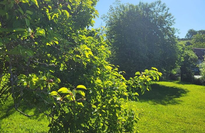 Terrain constructible de 1 681 m² au cœur d'Amagney — photo 3
