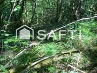 TERRAIN TRES RARE — photo 3