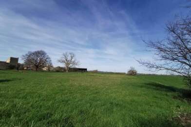 Terrain  75000 €