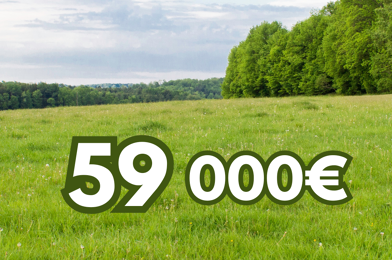 Terrain  59000 €