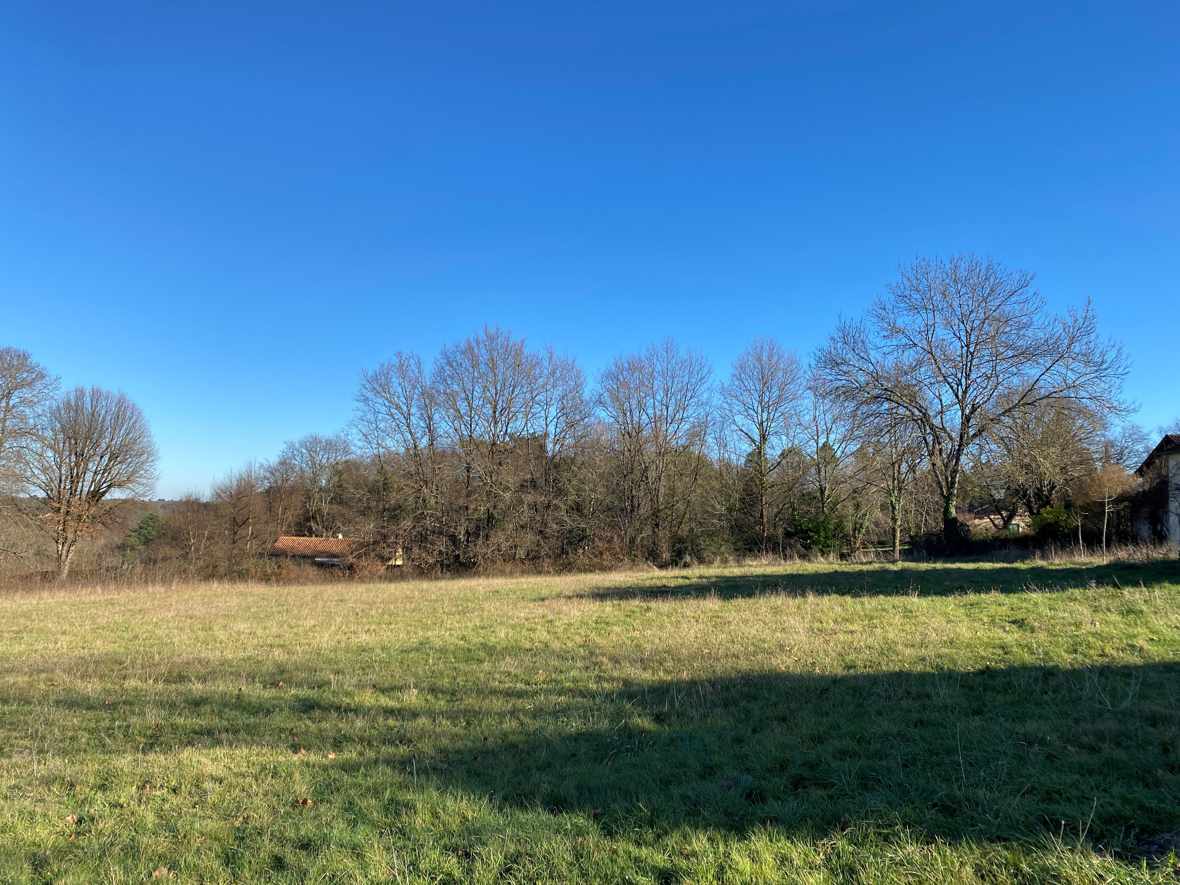 Terrain a batir coursac baisse de prix