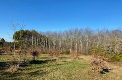 Terrain  42500 €