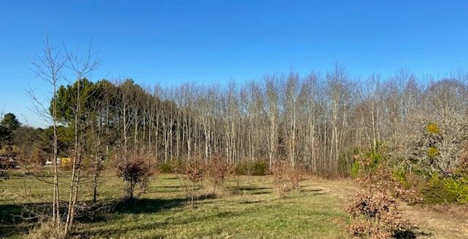 secteur coursac   — photo 1