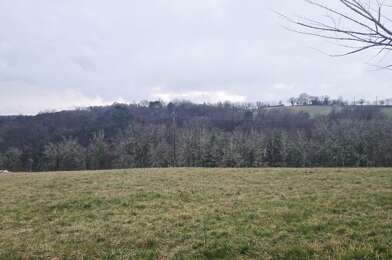 Terrain  80000 €