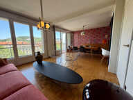 F3 - Balcons - Cours Victor Hugo/ Albert Thomas — photo 3