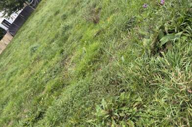 Terrain  68000 €