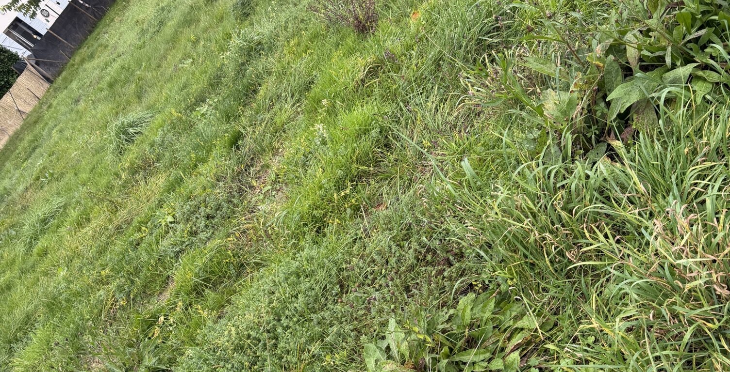 Vente Terrain à bâtir 568 m&sup2; — photo 1