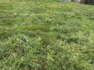 Vente Terrain à bâtir 568 m&sup2; — photo 3
