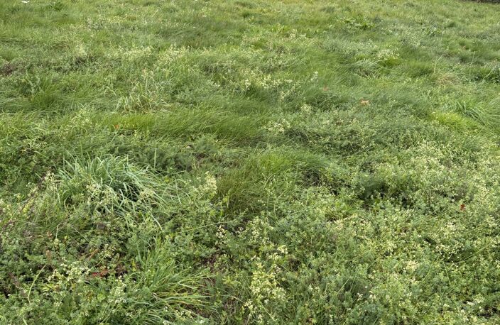 Vente Terrain à bâtir 568 m&sup2; — photo 3