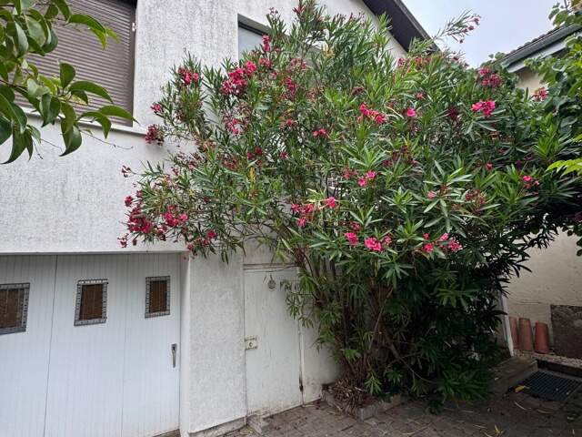 Maison individuelle — photo du bien