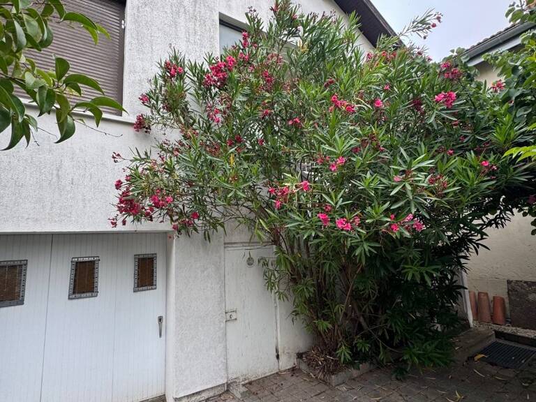 Maison individuelle — photo 1