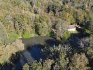Propriété avec étang — photo 2