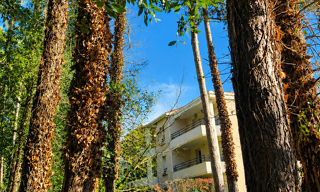 Appartement 3 Pièces 64 m² à vendre à Royan (17200)