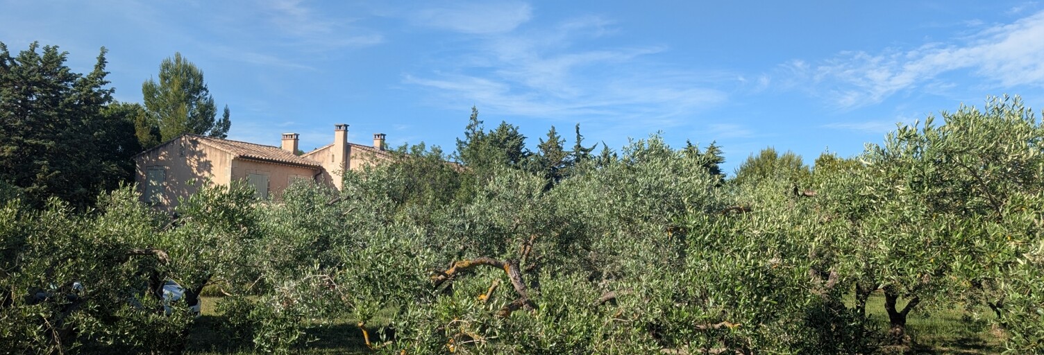 Maison 8 Pièces 260 m² à vendre à Saint-Rémy-de-Provence (13210)