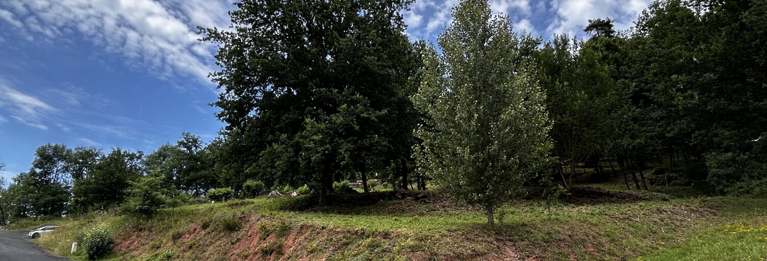 Terrain  1740 m² à vendre à Villecomtal (12580)