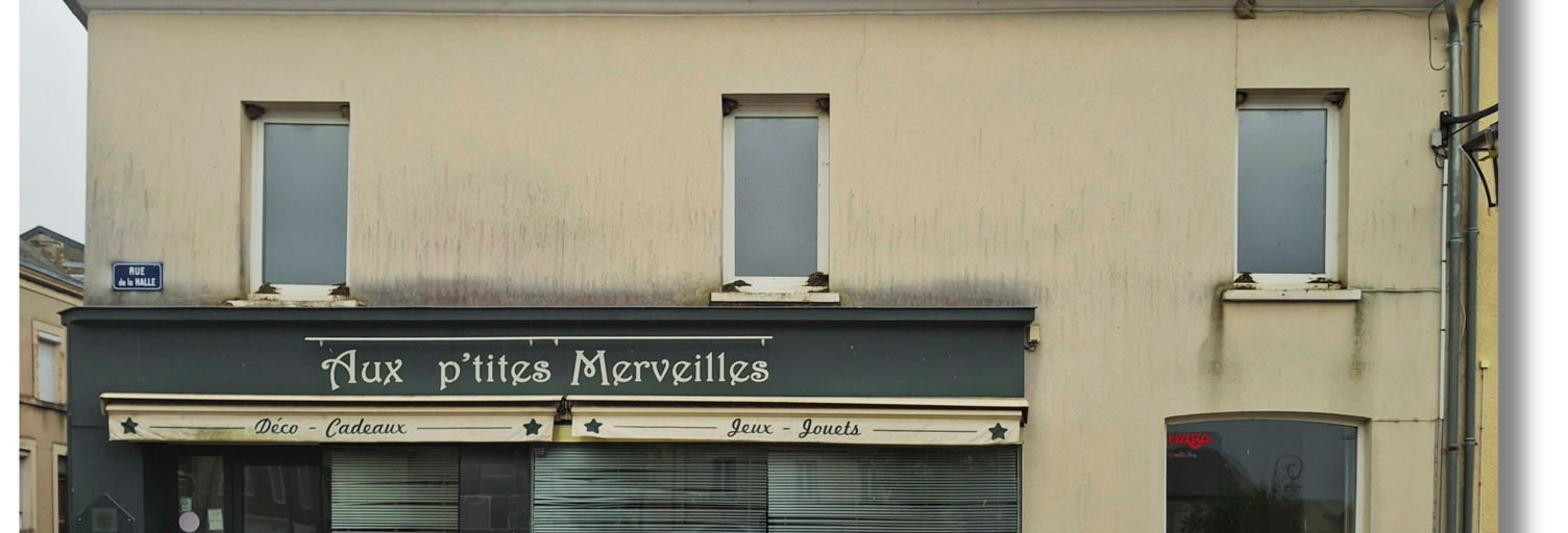 Commerce  220 m² à vendre à Les Aix-d'Angillon (18220)
