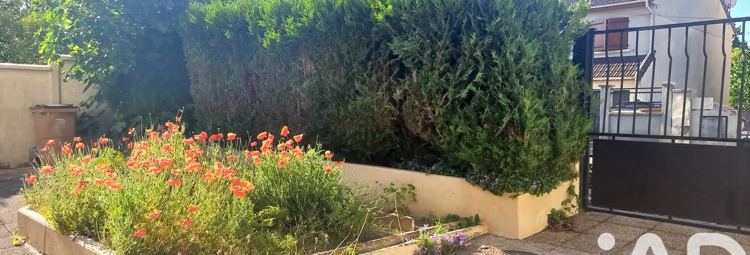 Photo N° 2