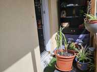 Vente Appartement 4 pièces — photo 3