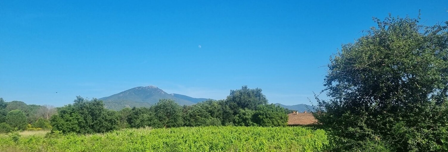 Terrain  239 m² à vendre à Saint-Jean-Pla-de-Corts (66490)